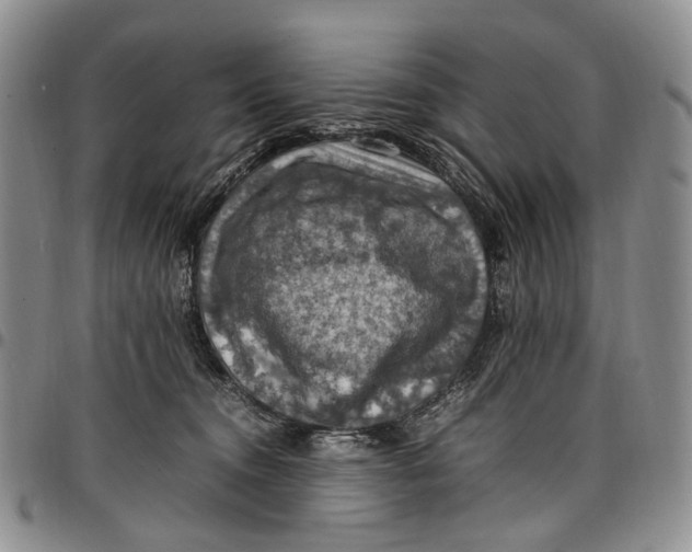 X0000098000372200804141213