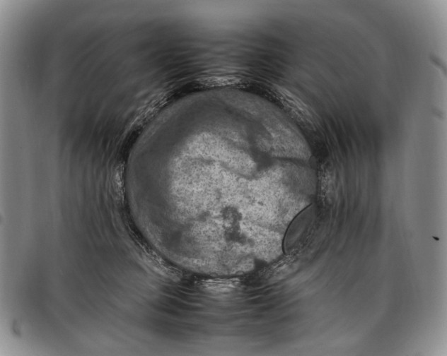 X0000098000373200804141213