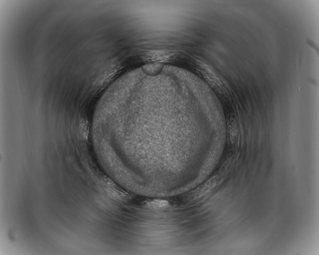 X0000098000374200804141213