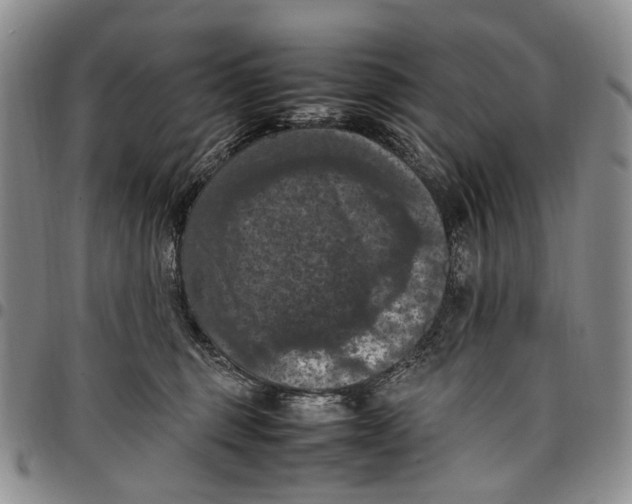 X0000098000375200804141213
