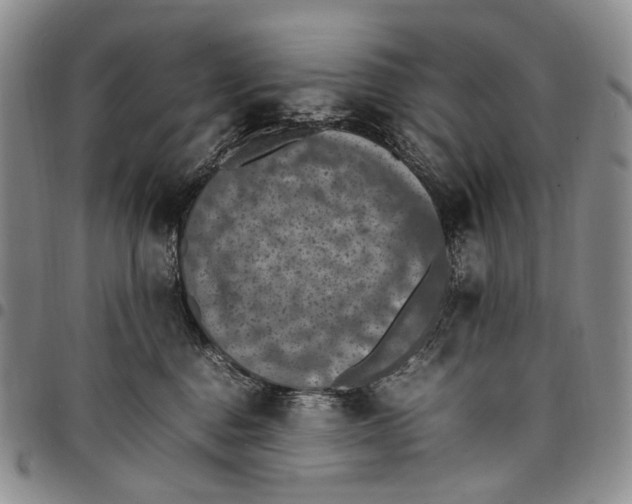 X0000098000376200804141213