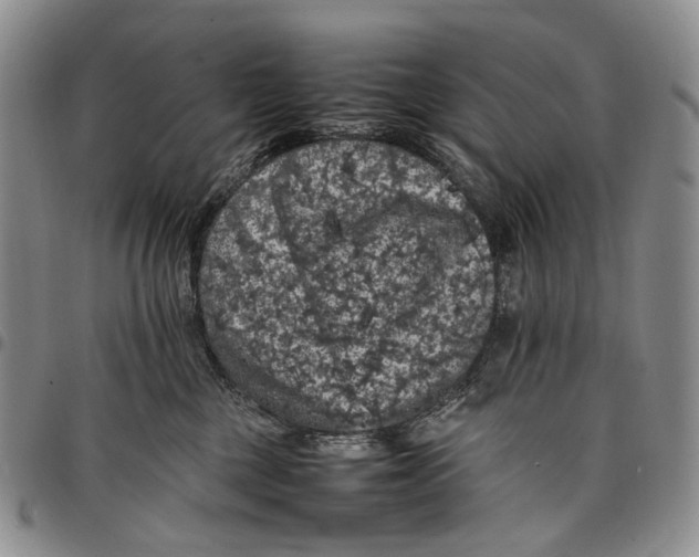 X0000098000377200804141213