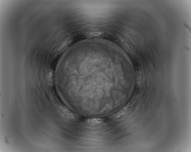X0000098000378200804141213