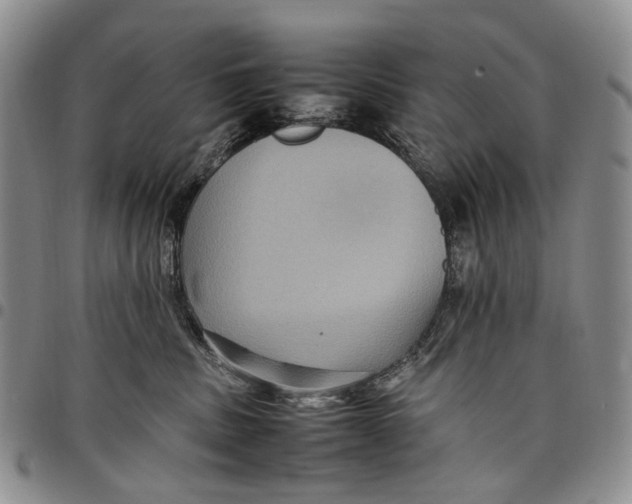 X0000098000379200804141213