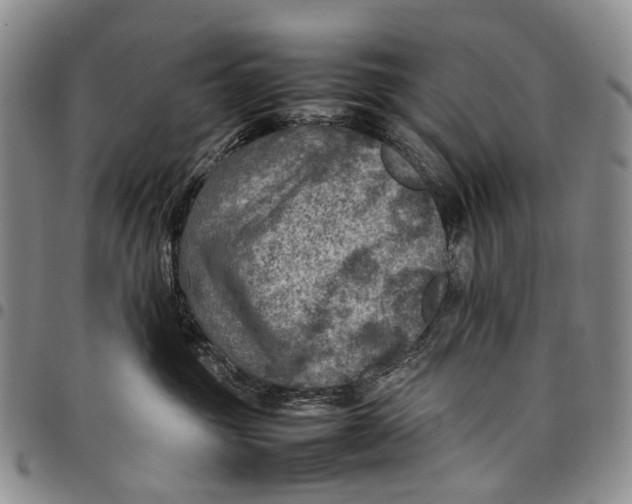 X0000098000381200804141213