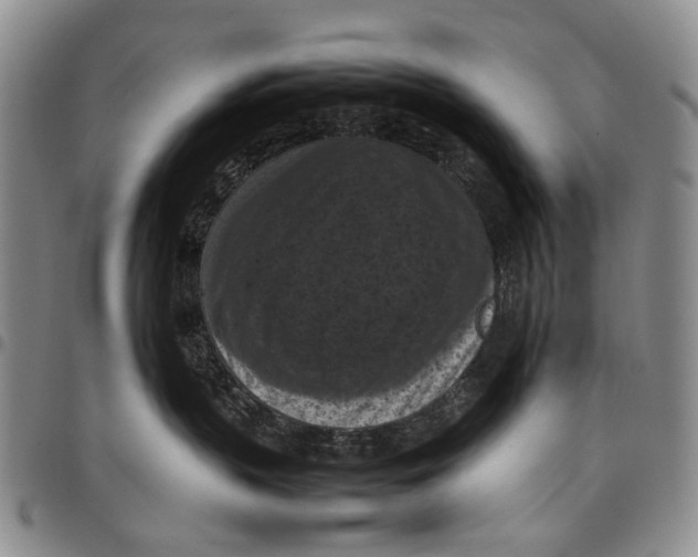 X0000098000383200804141213