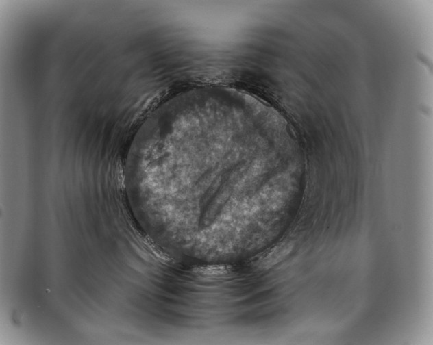 X0000098000384200804141213