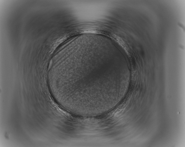 X0000098000385200804141212