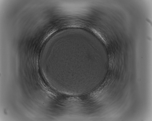 X0000098000386200804141212