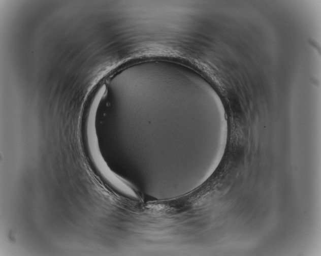 X0000098000391200804141212