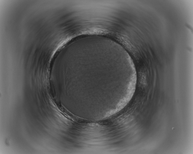 X0000098000392200804141212