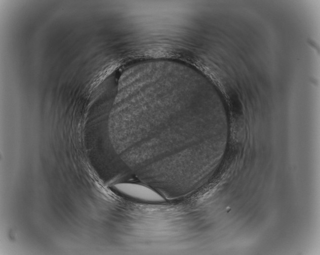 X0000098000393200804141212