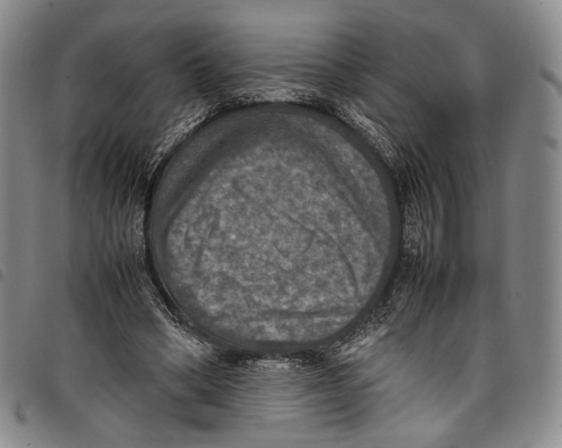 X0000098000394200804141212