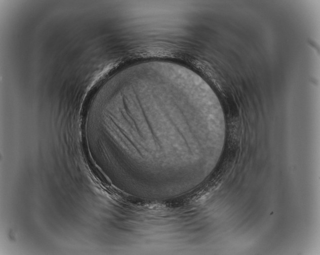 X0000098000395200804141212