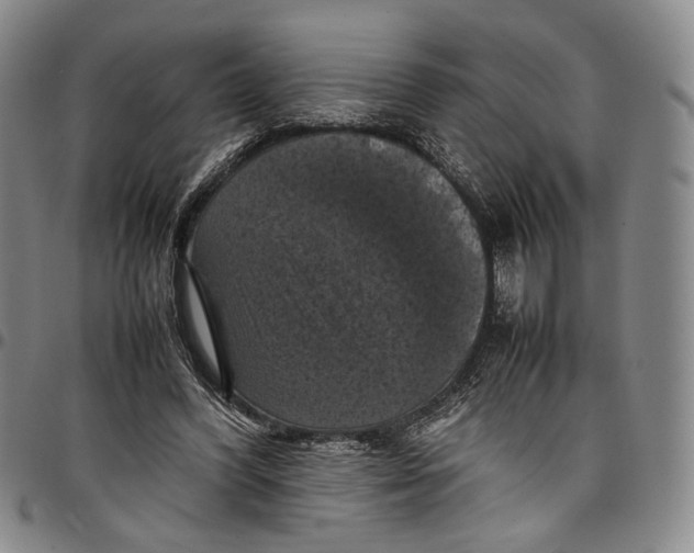 X0000098000396200804141212
