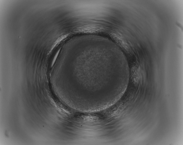 X0000098000400200804141212