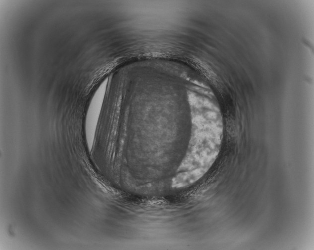 X0000098000401200804141212
