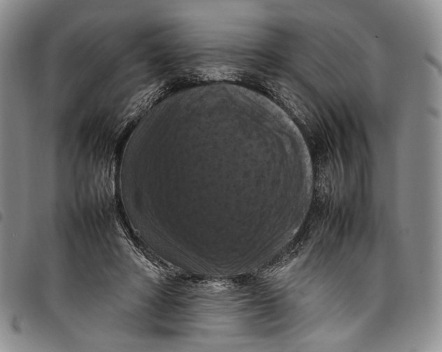 X0000098000402200804141212