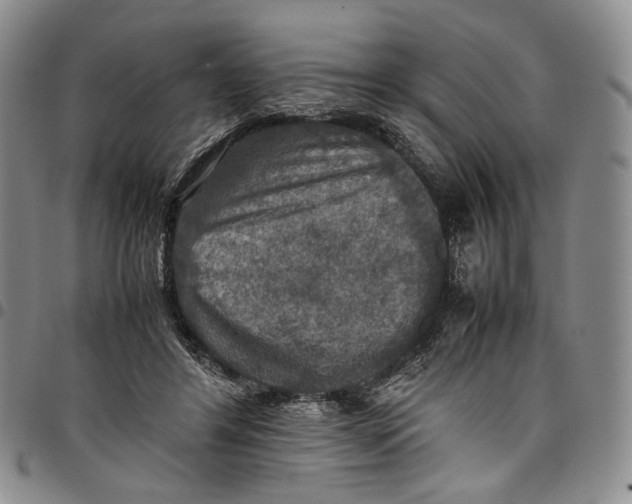 X0000098000404200804141212