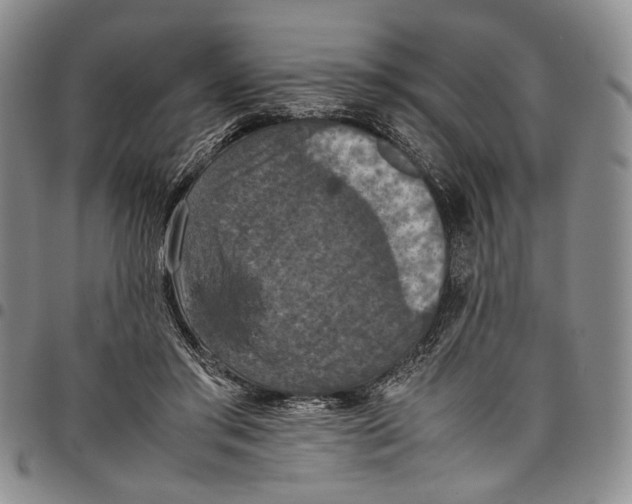 X0000098000405200804141212