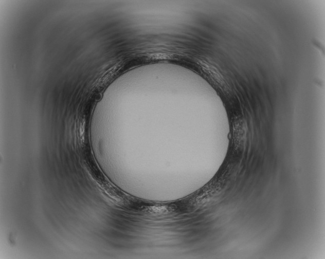 X0000098000406200804141212