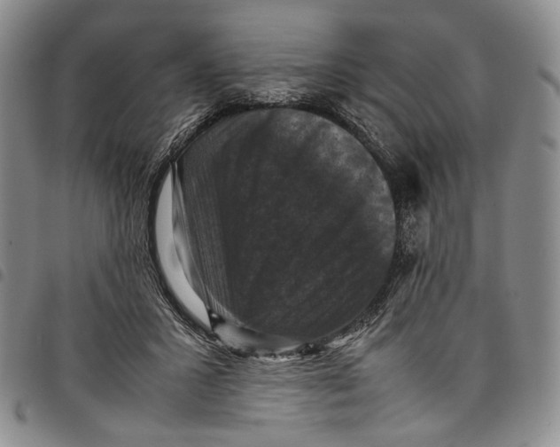 X0000098000407200804141212