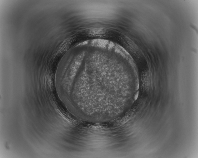 X0000098000408200804141212