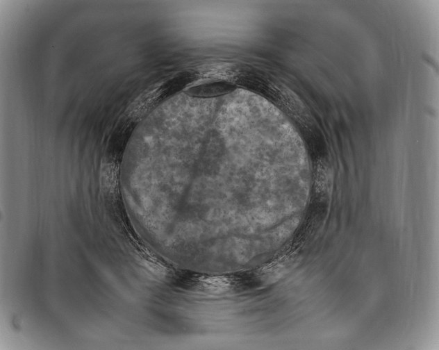 X0000098000409200804141212