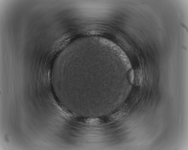 X0000098000410200804141212