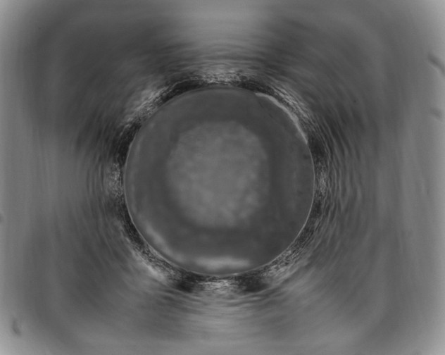 X0000098000411200804141212