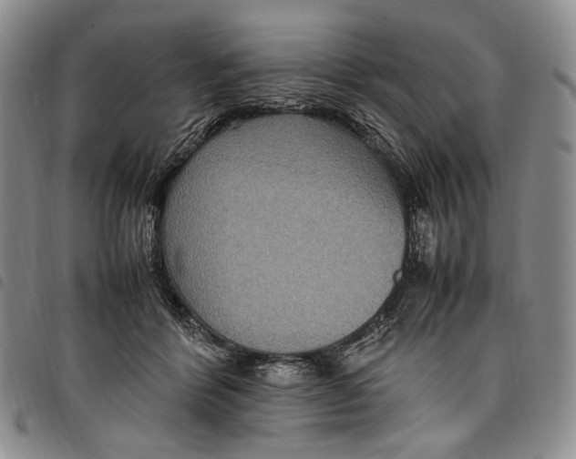 X0000098000412200804141212