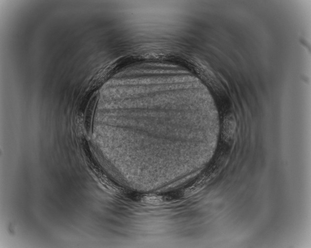 X0000098000413200804141212