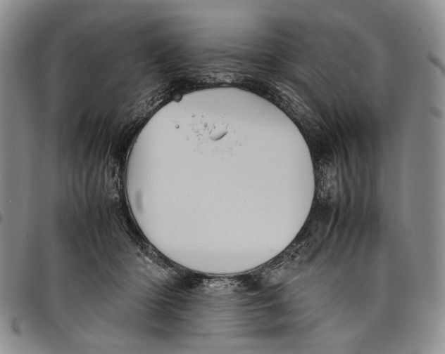 X0000098000414200804141212