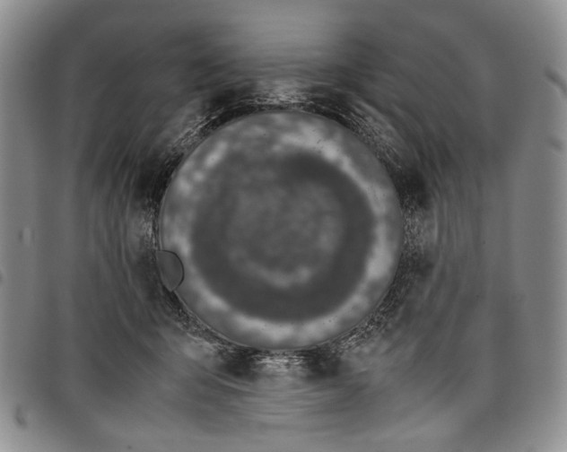 X0000098000415200804141212