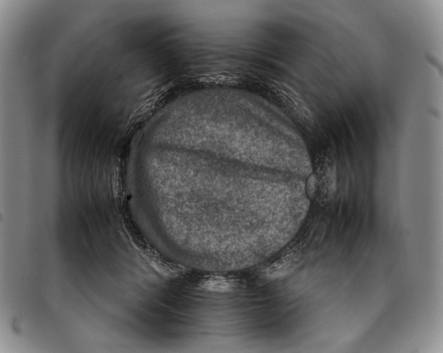 X0000098000416200804141212