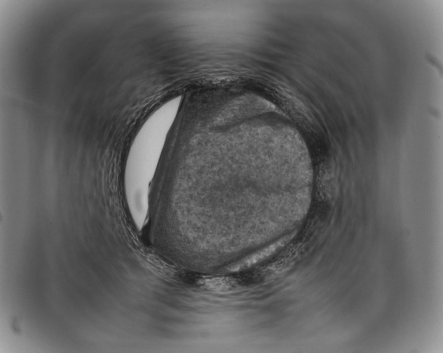 X0000098000417200804141212
