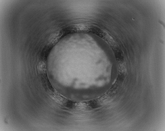 X0000098000419200804141212