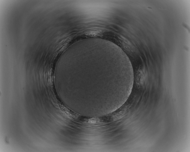 X0000098000420200804141212