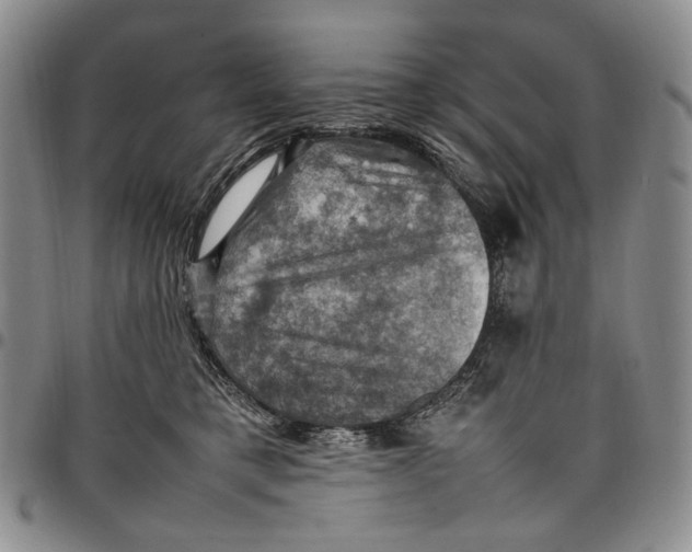 X0000098000421200804141212