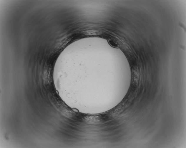 X0000098000422200804141211