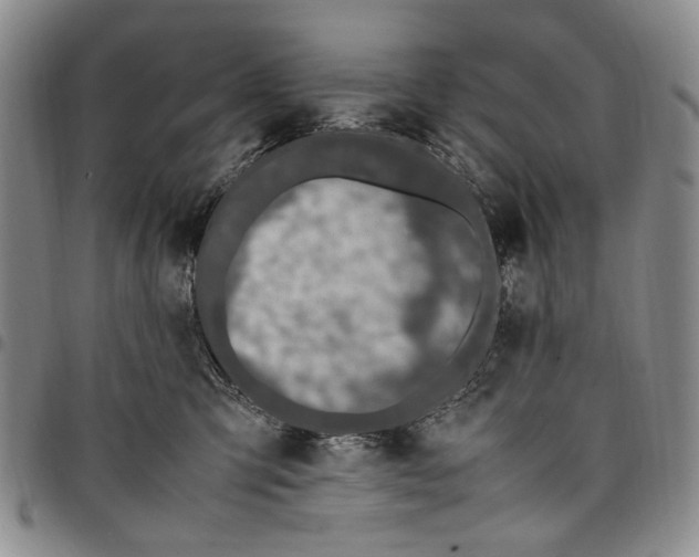 X0000098000423200804141211
