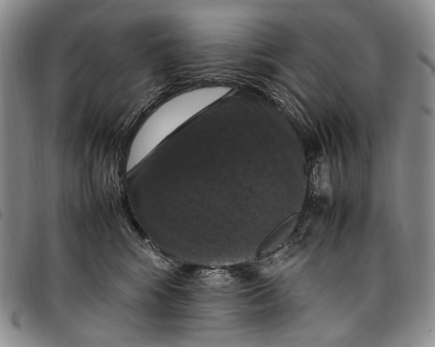 X0000098000424200804141211