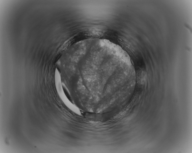 X0000098000425200804141211
