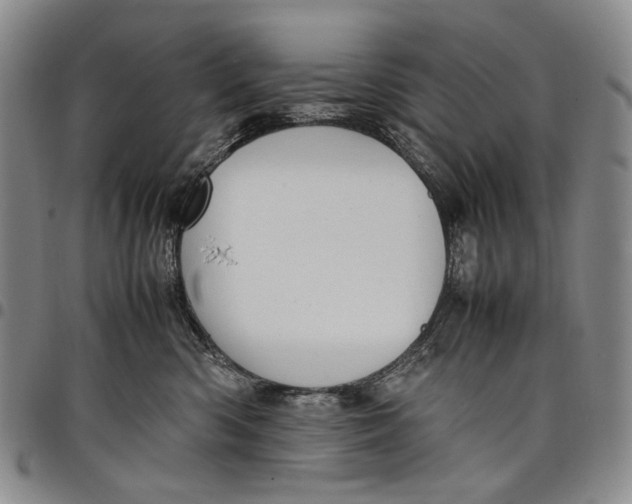 X0000098000426200804141211