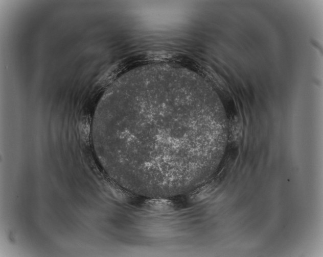 X0000098000427200804141211
