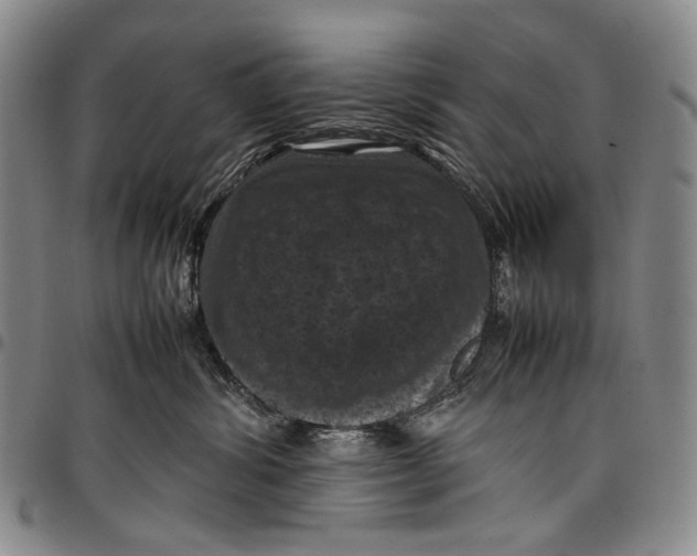 X0000098000428200804141211