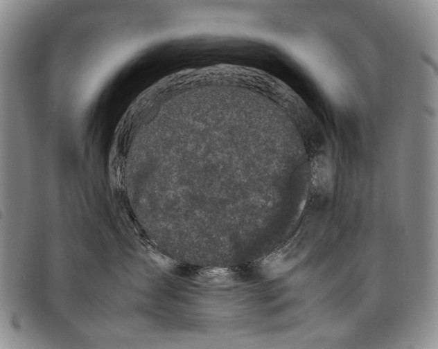 X0000098000431200804141211