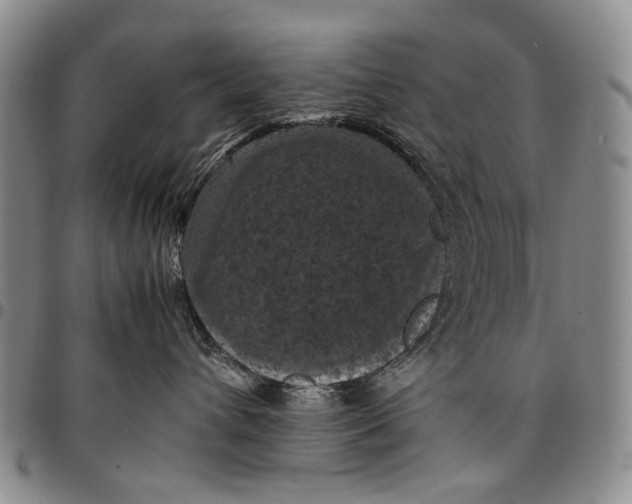 X0000098000432200804141211