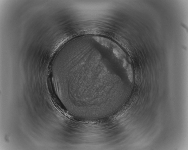 X0000098000434200804141211