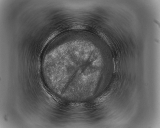 X0000098000435200804141211
